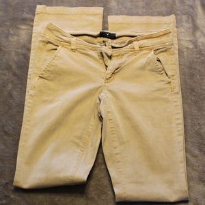American Eagle Khaki